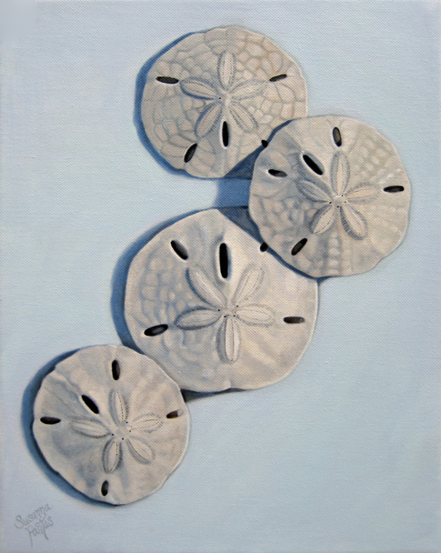 Contemplation: Sand Dollars on Blue by Susanna Pantas
